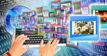 软件产品网 网络与信息安全软件开发的最新求购趋势与市场洞察